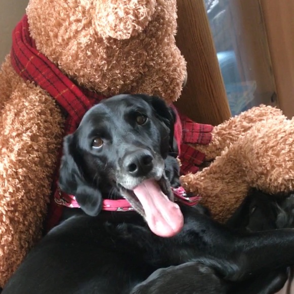 Meet your Posher, Melanie - Picture 1 of 2